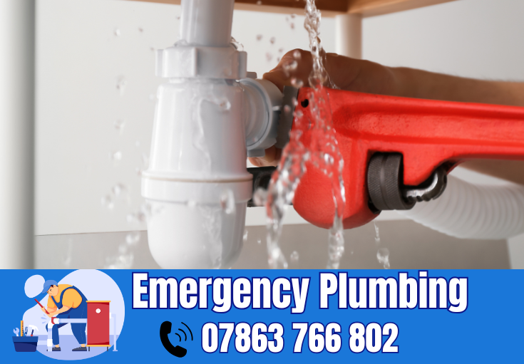  plumber Alvanley