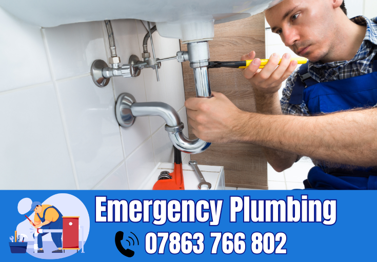  plumber Hapsford